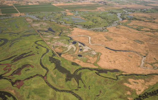 San Joaquin River | LightHawk