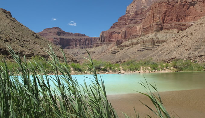 Lower Colorado Confluence | AML