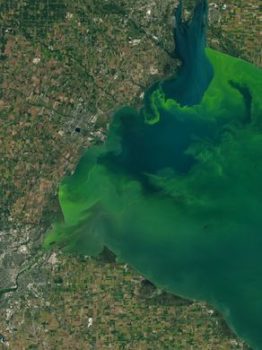 Satellite imagery of Lake Erie. | Photo: NASA