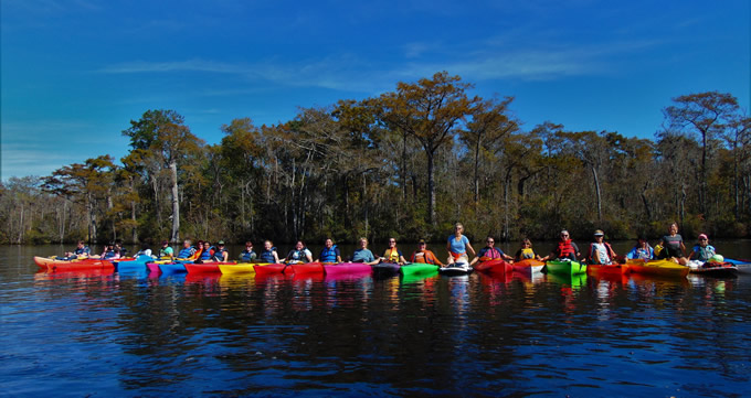 Waccamaw Cleanup | Laila Johnston