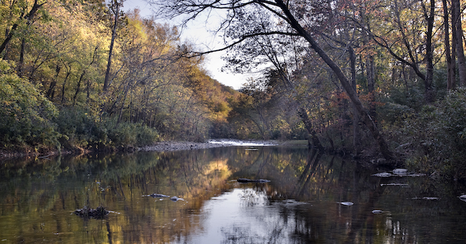 Arkansas' Buffalo River | Angela Peace