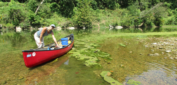 Algae forms on the Buffalo National River. | Teresa Turk