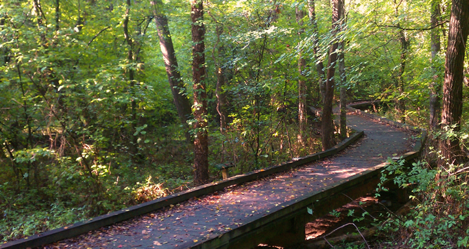 Flat Creek Nature Area, Peachtree City, Georgia. | Southern Conservation Trust