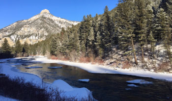 Gallatin River | Scott Bosse