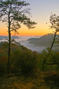 Fog covers the Red River Gorge at sunrise. | Ulrich Burkhalter (Flickr)