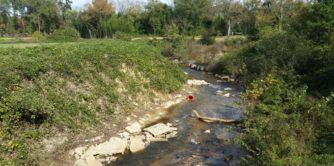 Cross Creek Watershed, NC | Peter Raabe