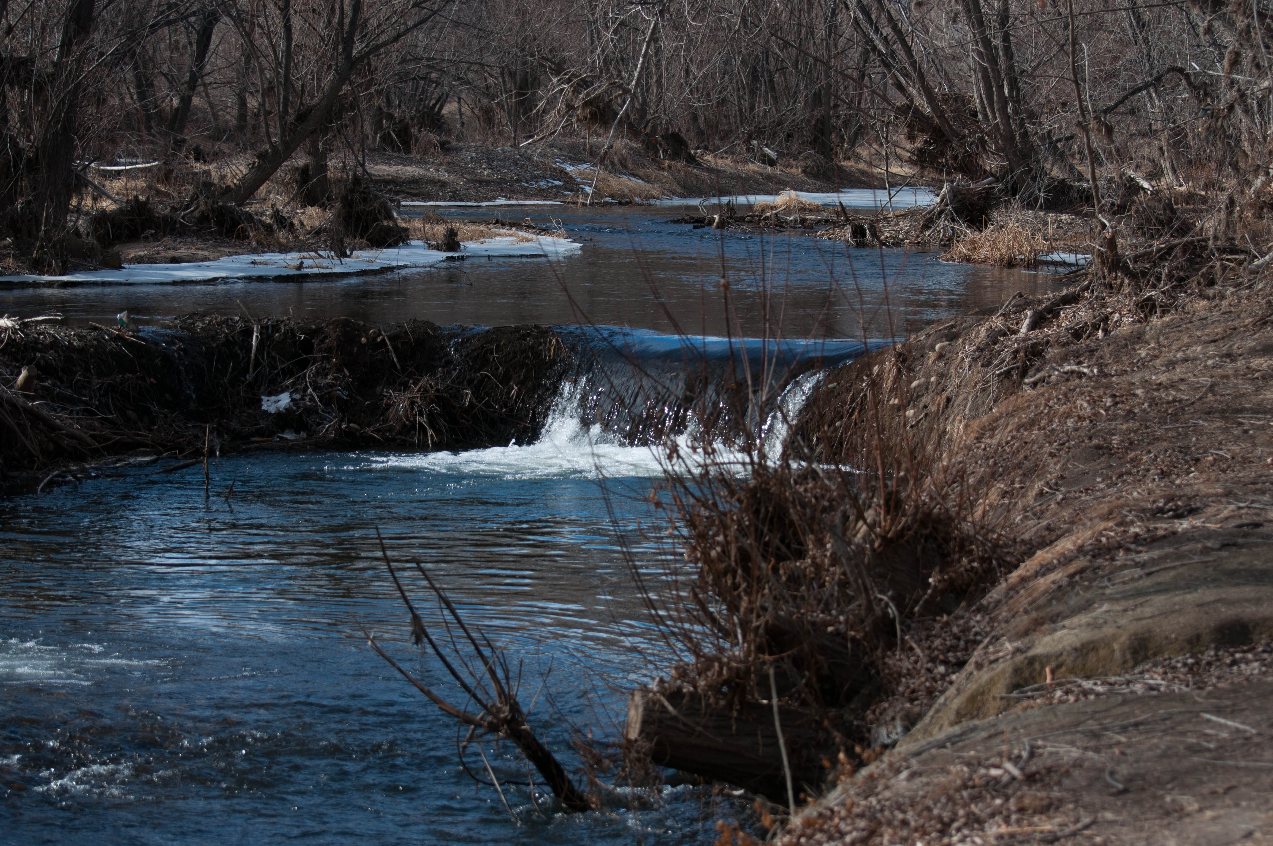 Nite Ize St Vrain River Cleanup American Rivers