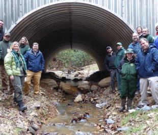 Briar Creek restoration, TN. | Credit: The Nature Conservancy