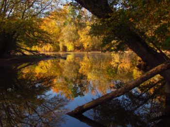 Broad River, SC | Ron Ahle