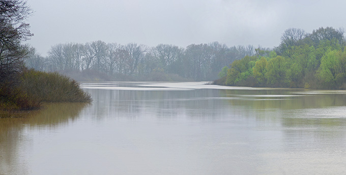 Big Sunflower River, MS | Stephen Kirkpatrick