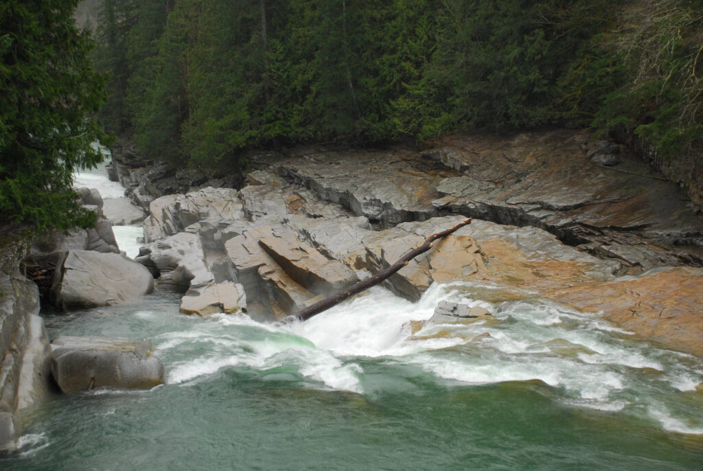 Most Endangered Rivers Victory Washington's Skykomish River American