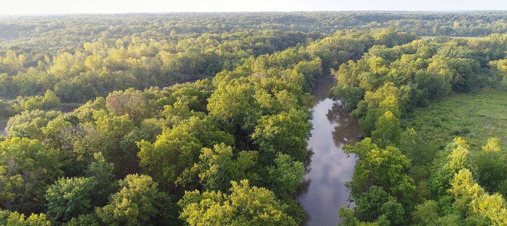 Middle Fork Vermilion River | Photo: Prairie Rivers Network