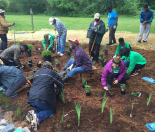 Community coming together to help at the Walnut Creek Rain Garden. | Peter Raabe