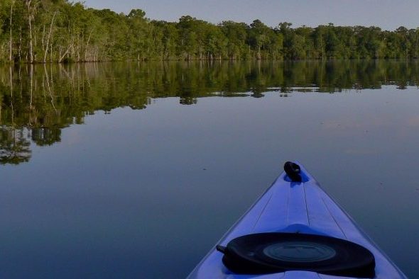 Waccamaw River Blue Trail, SC | Charles Slate