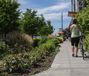 Rain gardens run along the sidewalk. | Marcela Gara, Resource Media
