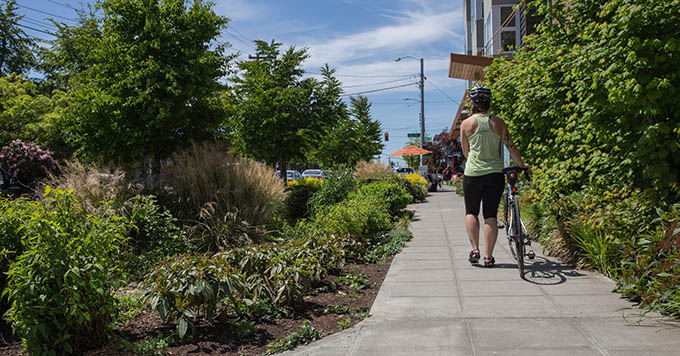 Rain gardens run along the sidewalk. | Marcela Gara, Resource Media