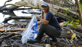 A volunteer cleans up trash on Theodore Roosevelt Island (U.S. National Park Service). | Rebecca Long
