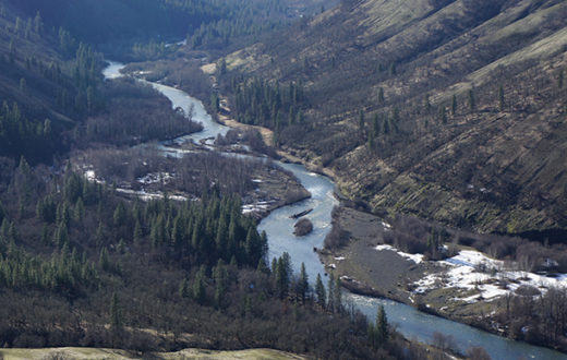 The Klickitat River Canyon is home to large expanses of oak savanna habitat. | Photo: David Patte/U.S. Fish and Wildlife Service