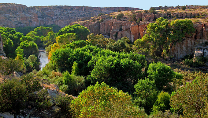 The Gila River - Gila Conservation Coalition