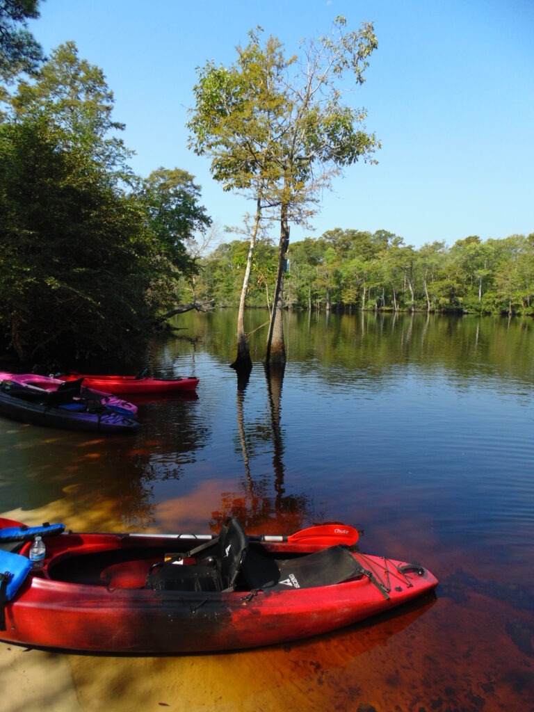 Waccamaw River, Gator Bait Adventure Tours