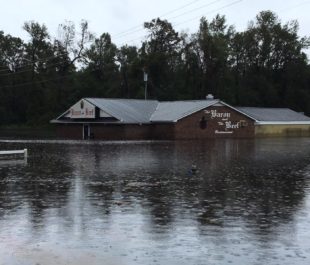 Neuse River flooding, photo from Voice of America