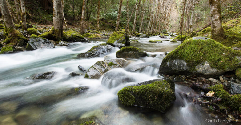 Whiskey Creek. Rogue River, Oregon | Photo by Garth Lenz/iLCP