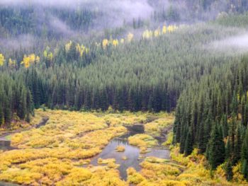 Yakinikak Creek | Photo by Mike Fiebig