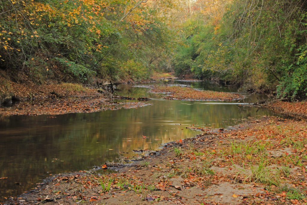 Potato Creek, Flint River Basin | Photo by lan Cressler