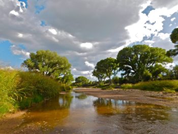 San Pedro River | Photo by Steve Sprager