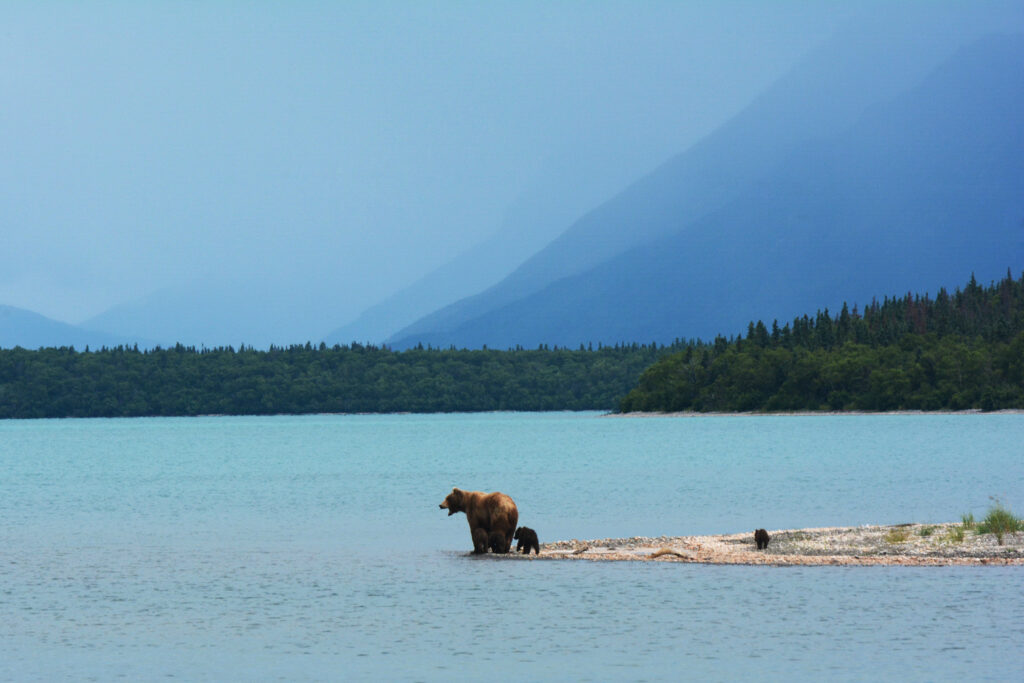 Naknek Lake | Photo by Paxson Woelber