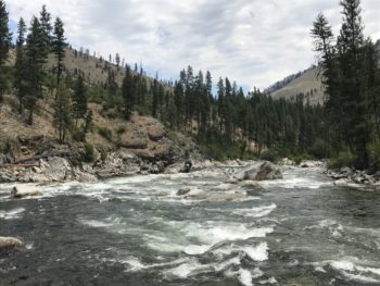 The South Fork Salmon River | Photo by Nate Ostis