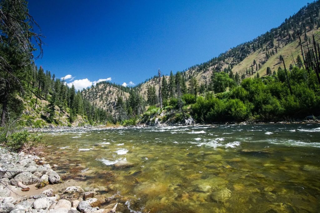 South Fork Salmon River | Photo by Daniel Patrinellis