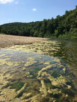 Buffalo National River | Teresa Turk