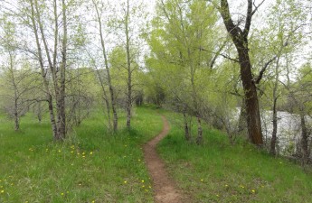 Miller Ranch River Easement and trail | Photo by Matt Stern