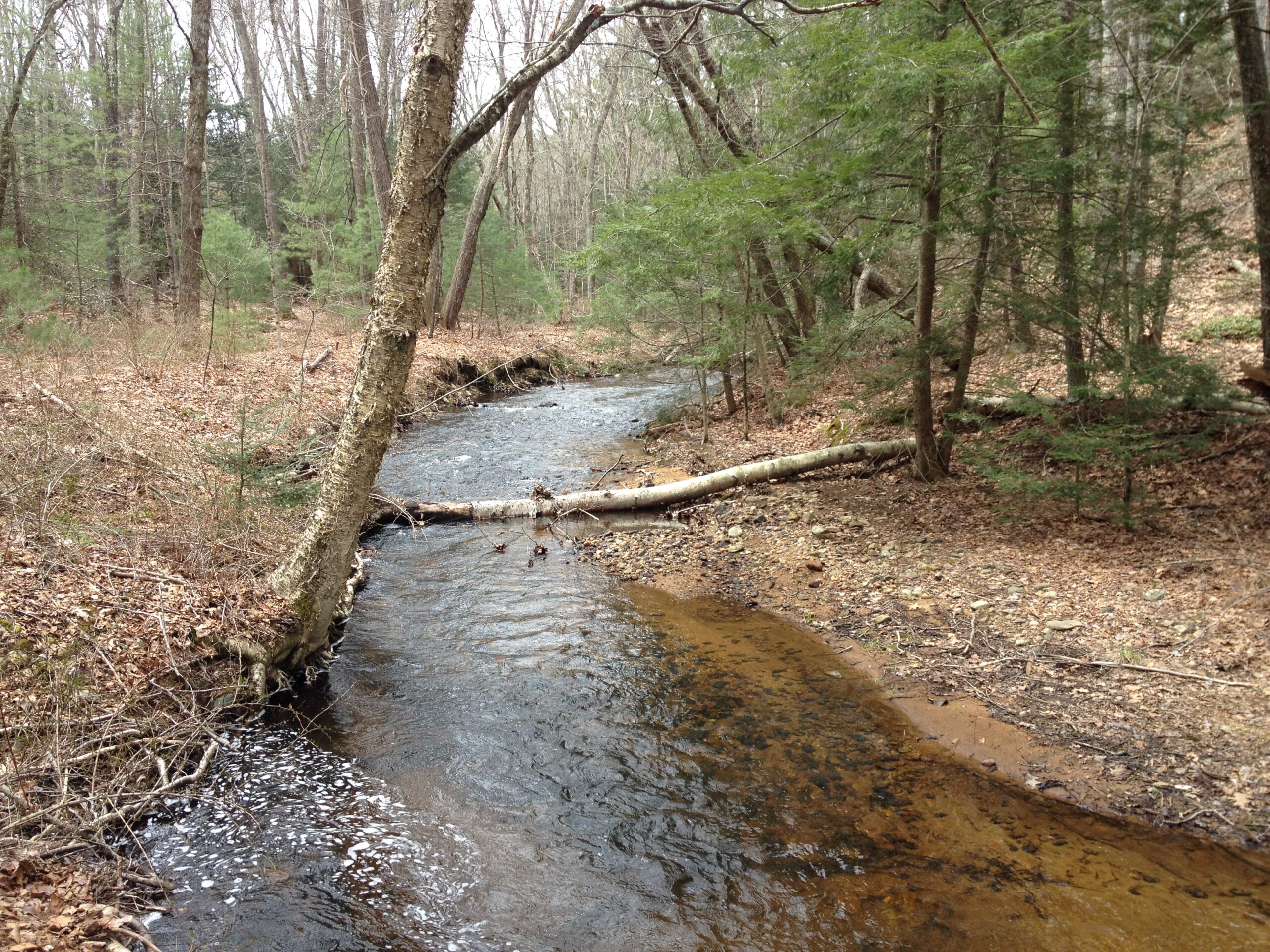 Hamant Brook, MA | Photo by Amy Singler