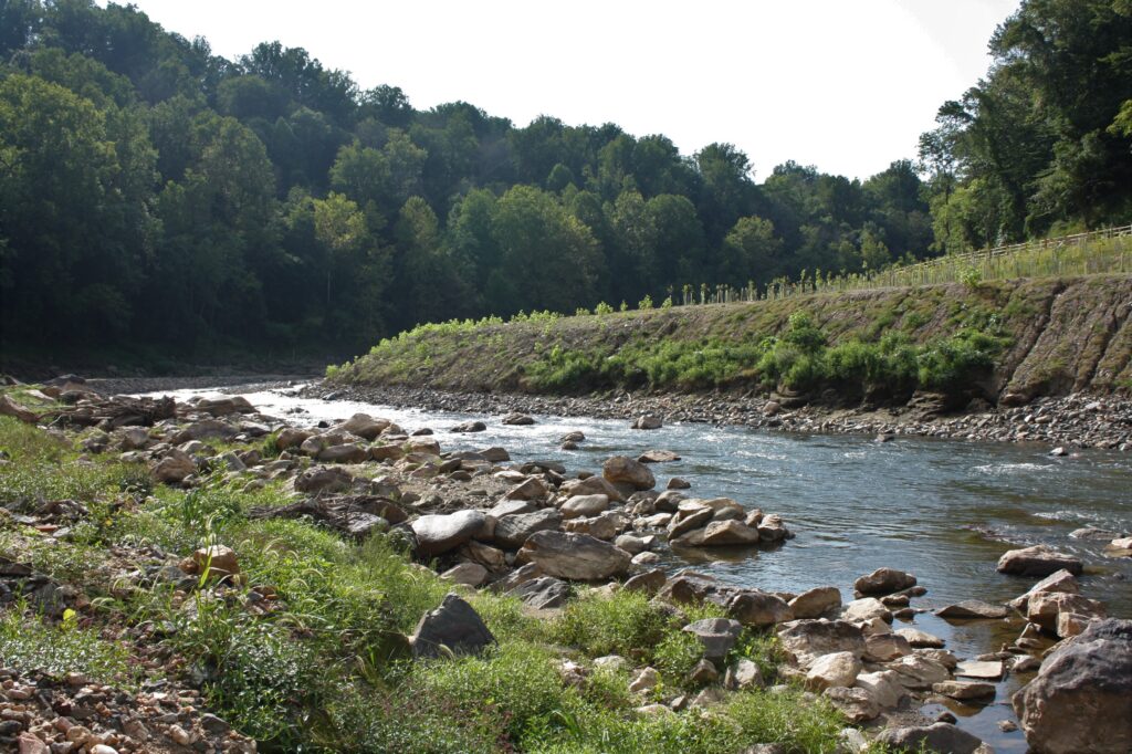 Patapsco River | Photo by Jessie Thomas-Blate