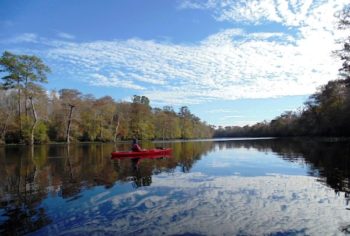 Waccamaw River | Photo by Gator Bait Adventure Tours