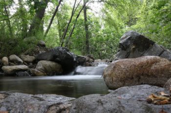 Cleveland National Forest | Photo by USFWS