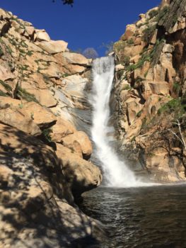 Cleveland National Forest | Photo by US Forest Service