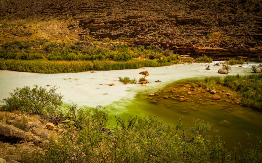 Little Colorado River | Photo by Sinjin Eberle