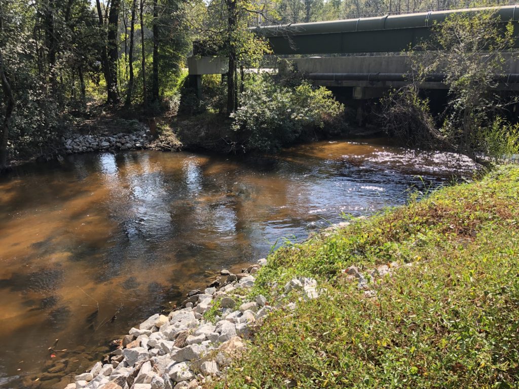 Congaree Creek four months after removal | Photo by Gerrit Jobsis