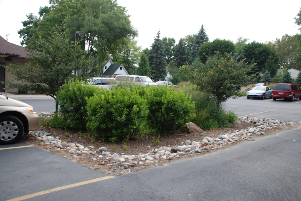 A parking lot rain garden in Lansing, MI | Photo by Patricia Pennell