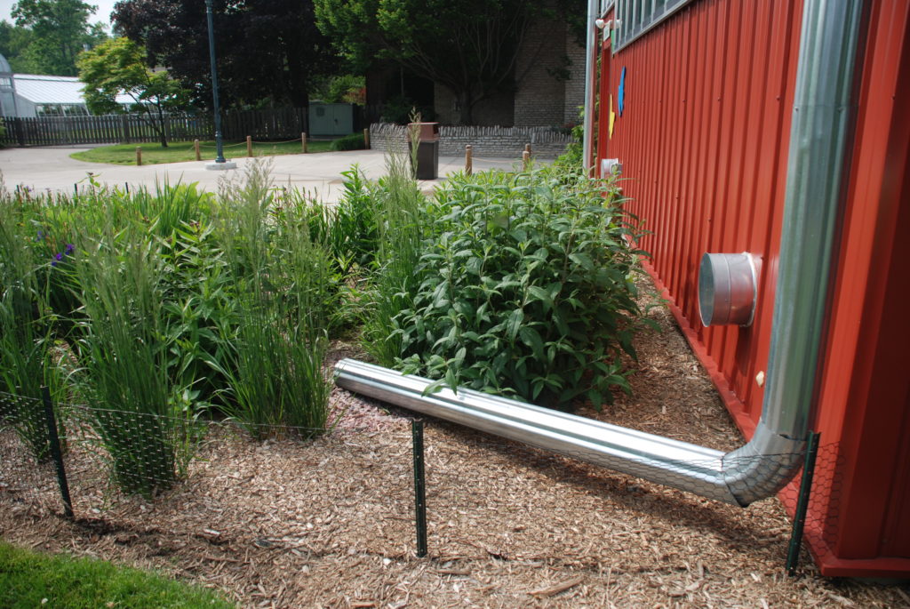 Rain Garden in Toledo, OH | Photo by Patricia Pennell