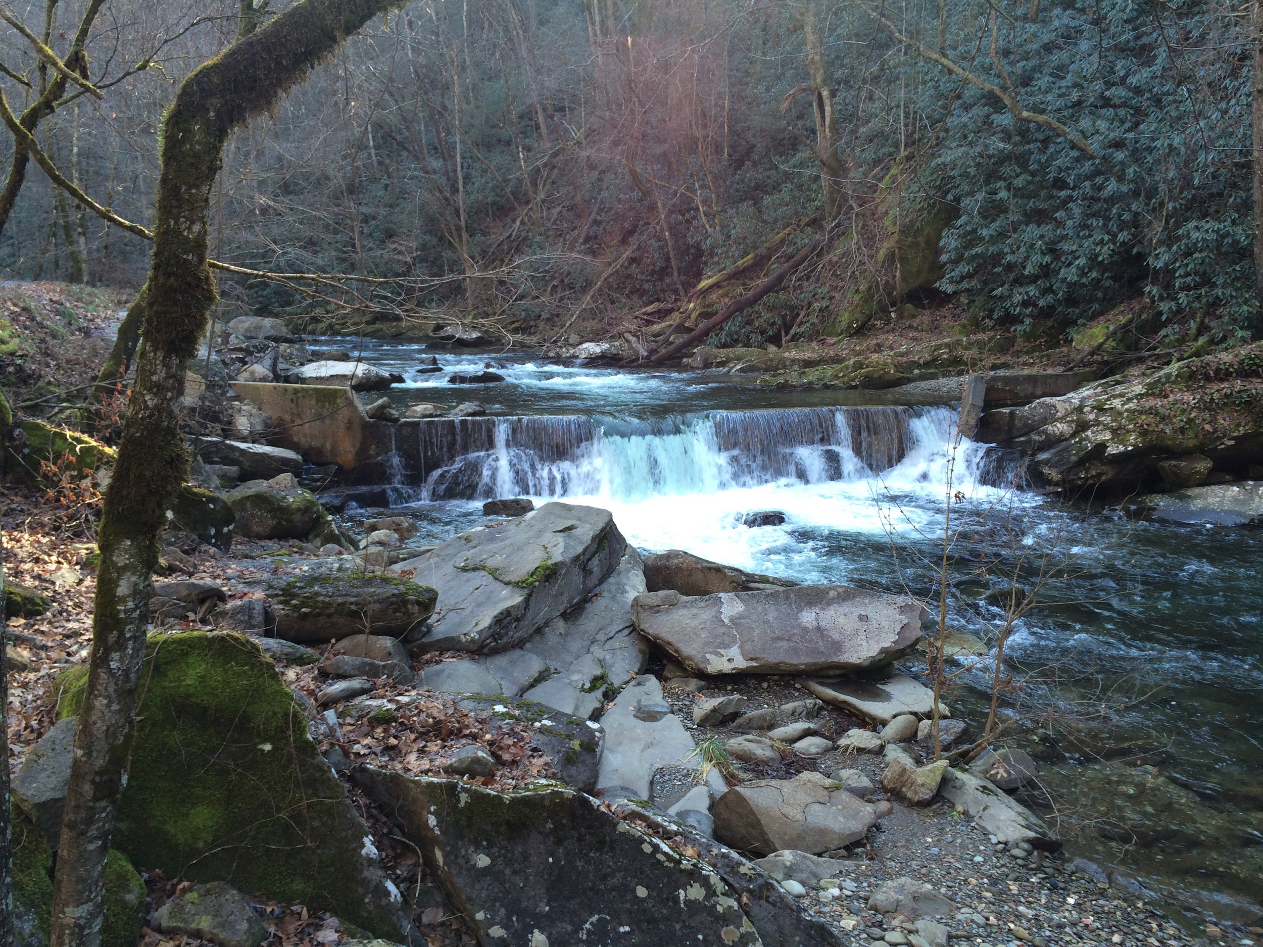 Upper Citico Creek Dam | Photo by Erin Singer McCombs