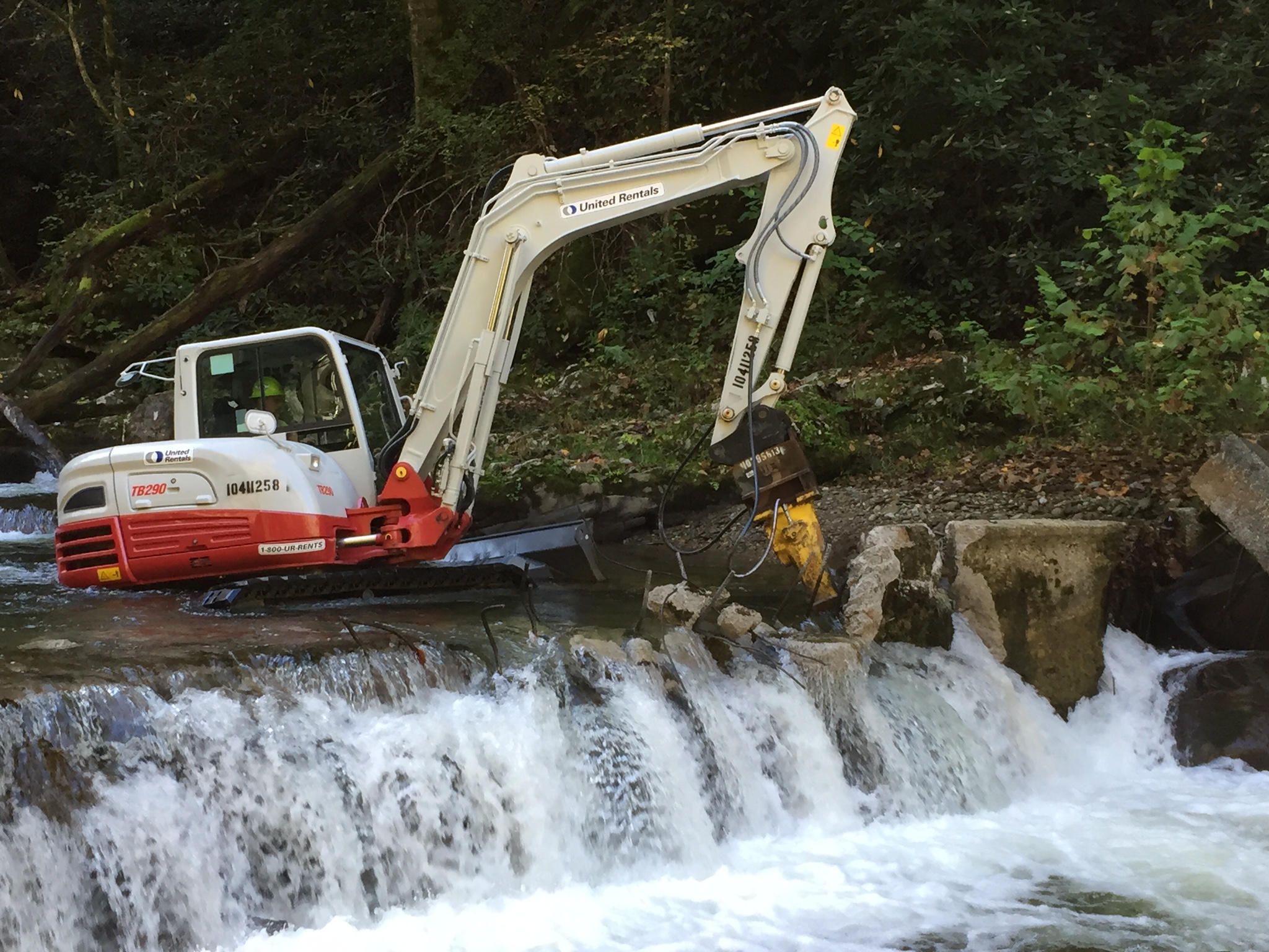 Upper Citico Creek Dam Removal | Photo by Erin Singer McCombs