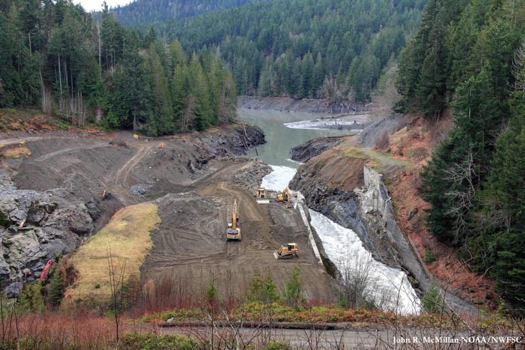 Elwha Dam | Photo by John R McMillan, NOAA