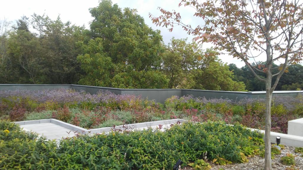 Fredrik Meijer Garden Green Roof | Photo by Shanyn Viars