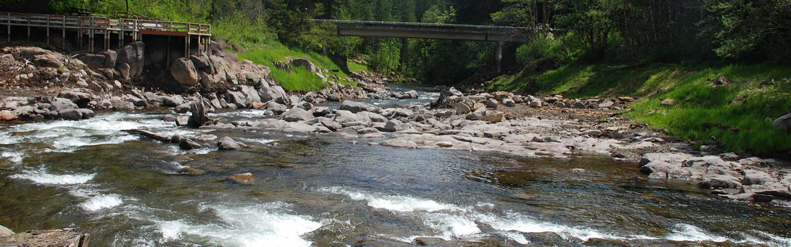 Trout Creek after Hemlock dam removal | Thomas O'Keefe