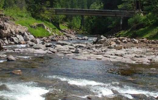 Trout Creek after Hemlock dam removal | Thomas O'Keefe
