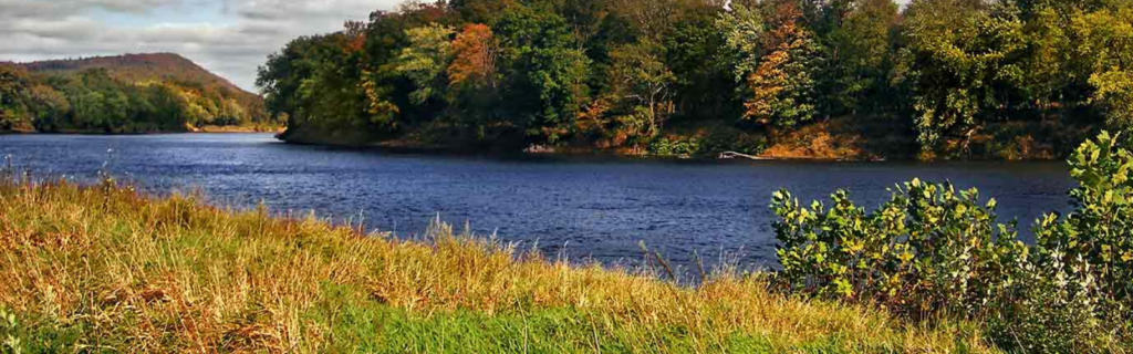 Delaware River Floodplain | Photo by Nicholas Tonelli